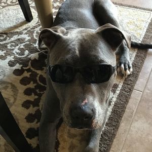 Meet your Posher, Aaron